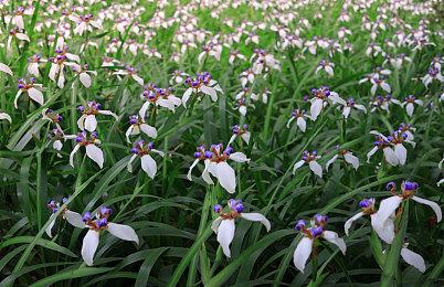 奇幻剧情冒险游戏《往昔童话》现已在Steam平台正式发售